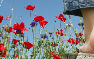 Der Footer: wichtiges und oft vernachlässigtes Element einer modernen Website