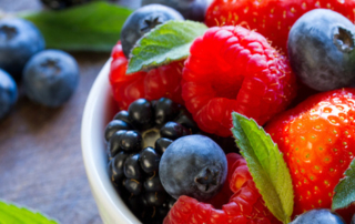 Holistischer Content